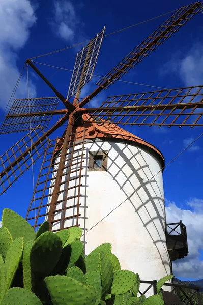Moulin Vent Sur Gran Canaria — Photo