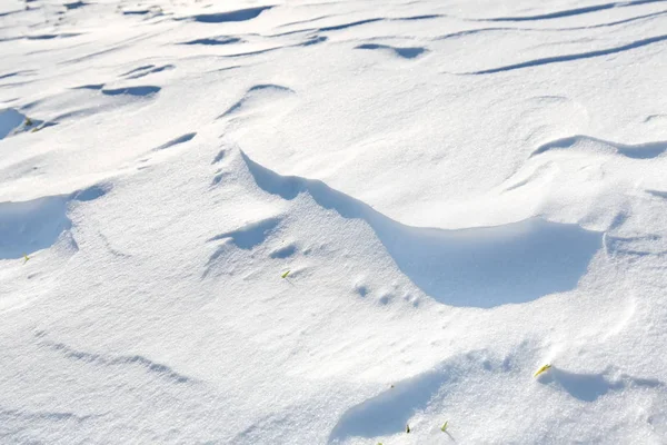 Gesloten Sneeuwbedekking Wind Met Driften Ziet Eruit Als Duinen — Stockfoto