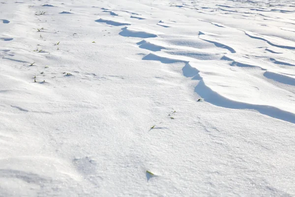 Cubierta Nieve Cerrada Viento Con Las Derivas Parece Dunas —  Fotos de Stock