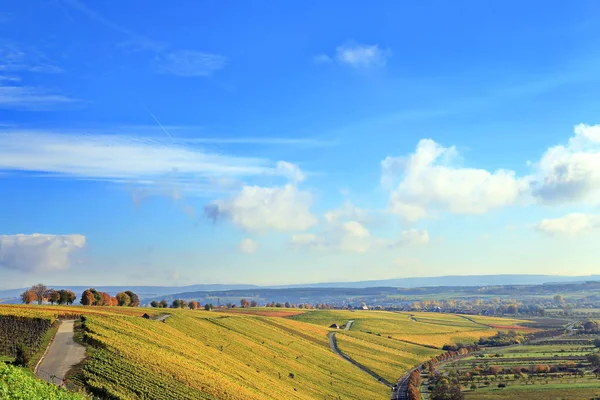 Volkach Ist Ein Bekanntes Weinanbaugebiet Deutschland Bayern Franken — Stockfoto