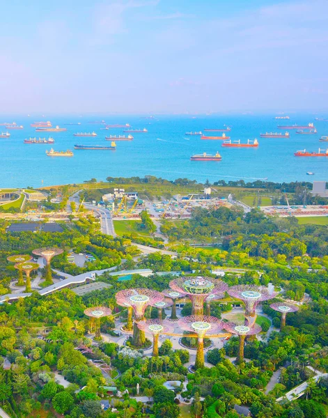 Singapur Února 2017 Aerail Pohled Tropických Zahrad Zátoky Scenérií Nákladní — Stock fotografie