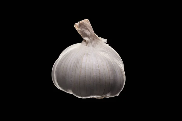 纯黑色背景的新鲜大蒜 — 图库照片