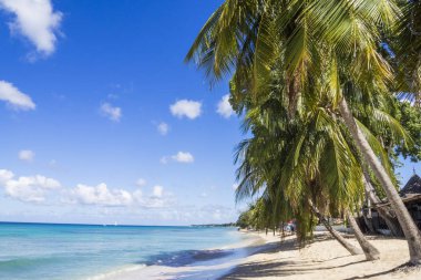 Caribbean Sea, Barbados - Speightstown clipart
