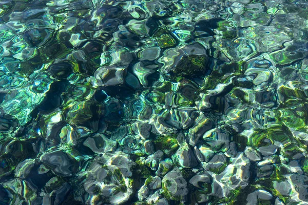 Uitzicht Van Bovenaf Een Steenachtige Zeebodem Helder Water Met Een — Stockfoto