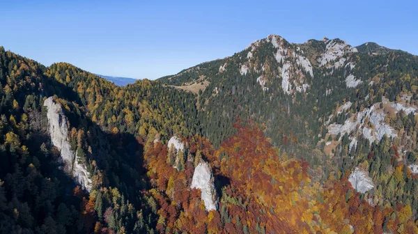 Ciucas Taki Zaganu Dağı Romanya Nın Massif Karpatları — Stok fotoğraf