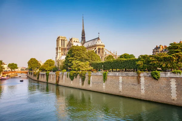 Notre Dame Paris Весною Франція — стокове фото