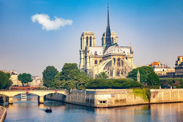 Notre Dame Paris Весною Франція — стокове фото