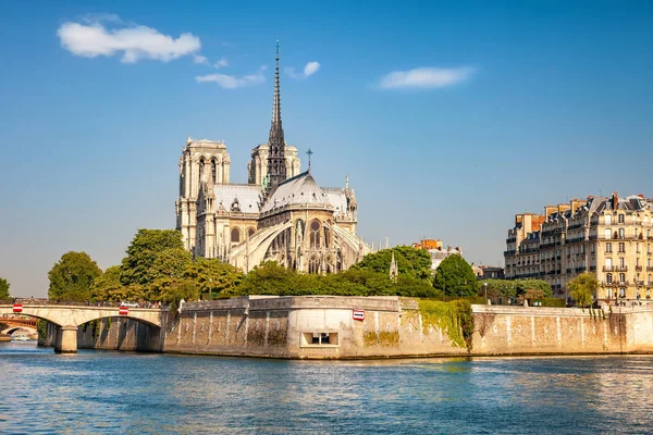 Notre Dame Paris Весною Франція — стокове фото
