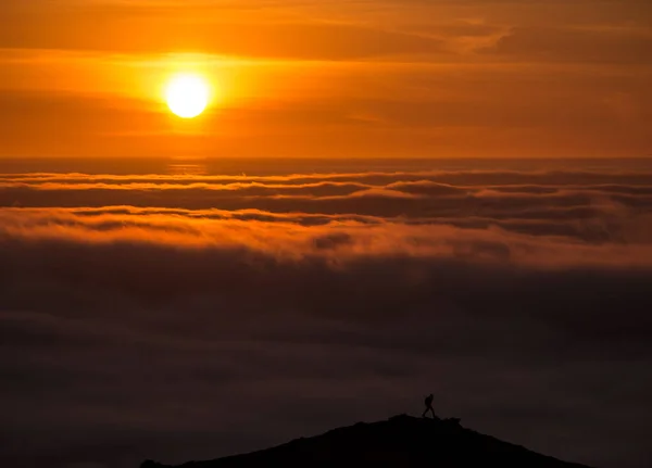 Dreamy Misty Landscape Sea Clouds Mountains Sunset Iceland — Stock Photo, Image