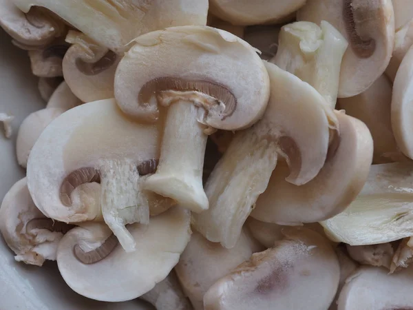 Agaricus Bisporus Aka Champignons Mushrooms Food Useful Fone — стоковое фото