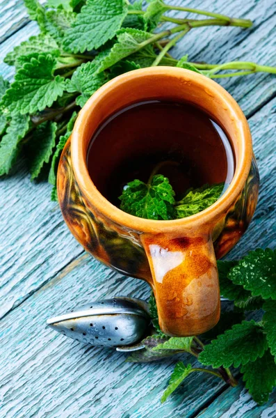 Grüner Melisse Kräutertee Tasse Kräutertee — Stockfoto