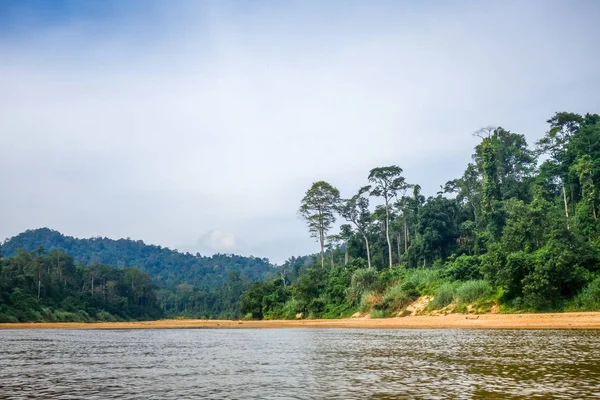 Rio Paisagem Selva Parque Nacional Taman Negara Malásia — Fotografia de Stock