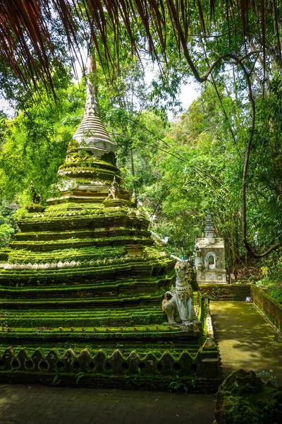 Wat Palad Temple Stupa Jungle Τσιάνγκ Μάι Ταϊλάνδη — Φωτογραφία Αρχείου