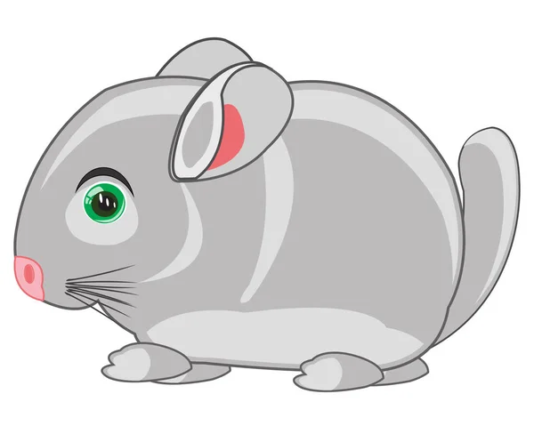 Cartoon Huisdieren Dier Chinchillas Witte Achtergrond Geïsoleerd — Stockfoto