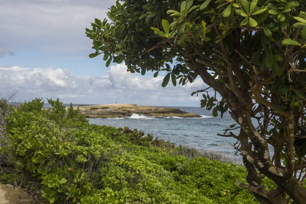 Karib Tenger Guadeloupe Pointe Des Chateaux Ban — Stock Fotó