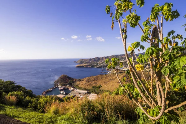 Saint Vincent Les Grenadines Dans Mer Des Caraïbes Port Kingstown — Photo