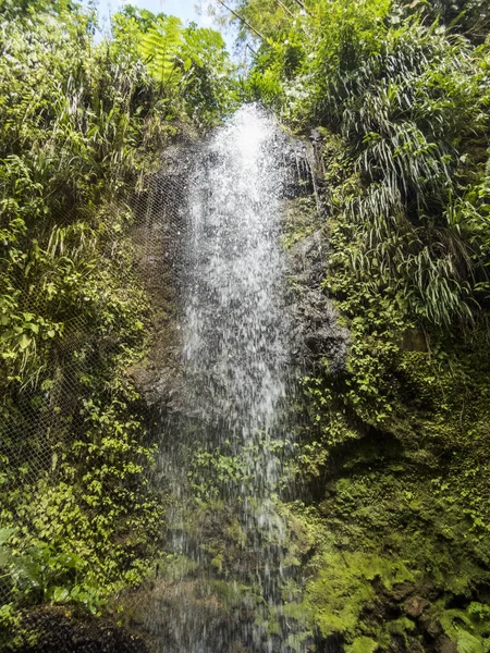 Saint Vincent Grenadines Caribische Zee Dark View Falls — Stockfoto