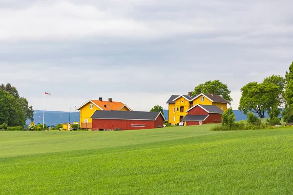 夏の日にノルウェーの伝統的な色の木造住宅 ノルウェーの村のカントリーハウス 渓谷の木造コテージ 伝統的なノルウェーの木造家屋 — ストック写真