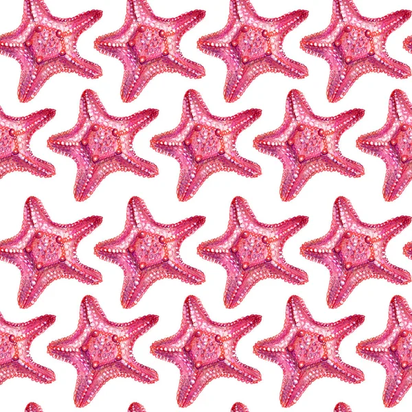 ヒトデとのシームレスなパターン ヒトデは色鉛筆で手描きです 白を基調としたピンクのヒトデ 夏の海のコンセプト — ストック写真
