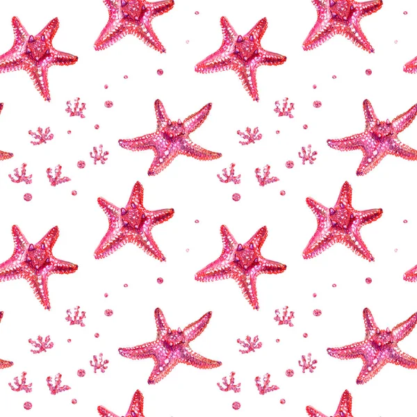 ヒトデと藻類とのシームレスなパターン ヒトデは色鉛筆で手描きです 白い背景に孤立したピンクのヒトデ 夏の海のコンセプト — ストック写真