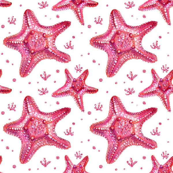 Fundo Sem Costura Com Estrelas Mar Algas Starfish Desenhado Mão — Fotografia de Stock