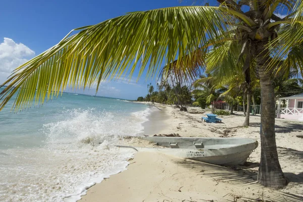 Δομινικανή Δημοκρατία Στο Νησί Saona Παραλία Mano Juan — Φωτογραφία Αρχείου