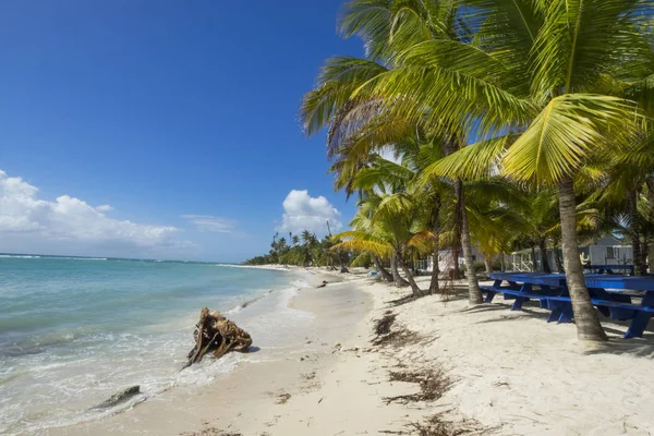 República Dominicana Isla Saona Playa Mano Juan — Foto de Stock