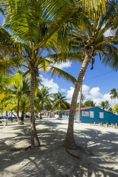 Dominican Republic Saona Island Beach Mano Juan — Stock Photo, Image