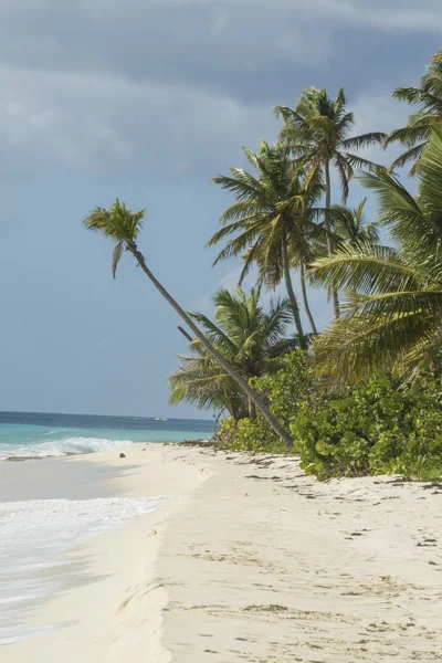 Mar Caribe República Dominicana Isla Saona Parque Nacional Del Este — Foto de Stock