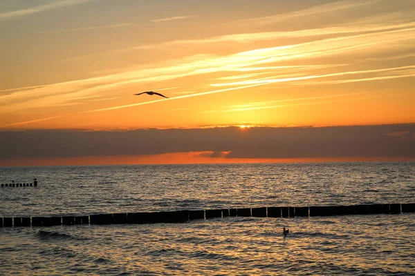 Breakwater Χτισμένο Από Ξύλινα Κούτσουρα Από Βαλτική Θάλασσα — Φωτογραφία Αρχείου