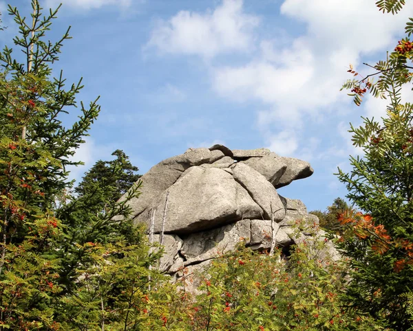 Formação Rochas Nas Montanhas Harz — Fotografia de Stock