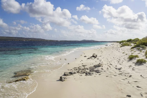 Caribe Isla Abc Pequeño Bono — Foto de Stock