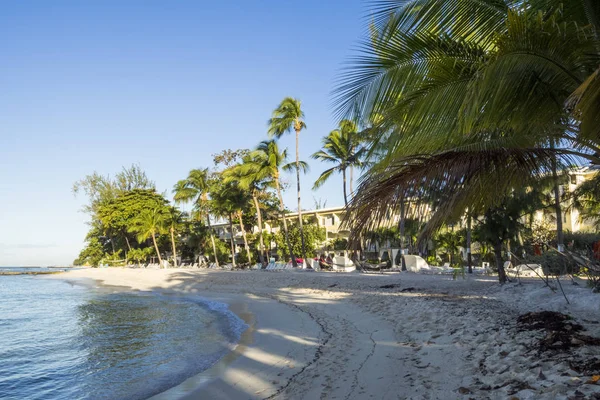 加勒比海中的巴巴多斯 布里奇敦 糖湾度假村 — 图库照片
