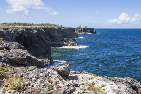 Caribbean Sea Barbados Horse Shoe Bay North Coast — Stock Photo, Image