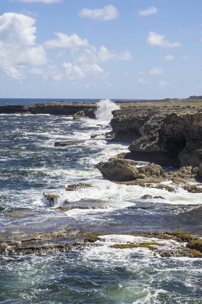 Mar Caribe Barbados Horse Shoe Bay Costa Norte — Fotografia de Stock