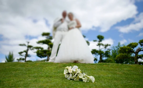 結婚式の花束や花や植物 — ストック写真