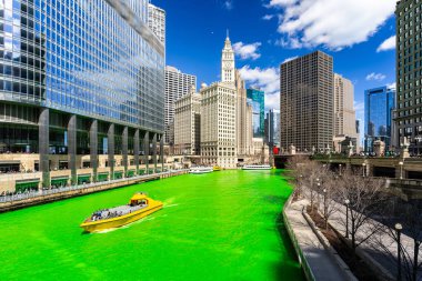 Chicago Skylines building along green dyeing river of Chicago River on St. Patrick's day festival in Chicago Downtown IL USA