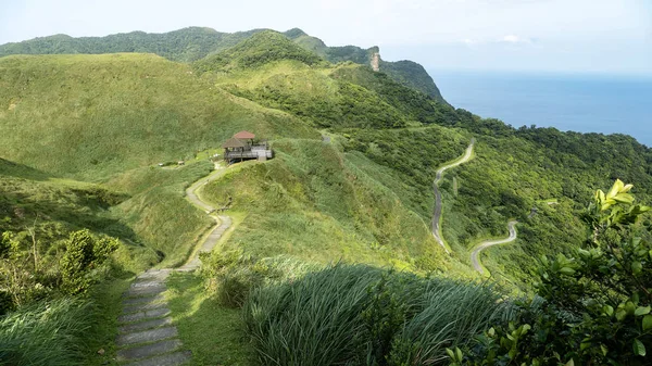 Miscanthus Cao Ling Ancient Trail Canto Nordeste Taiwan — Fotografia de Stock