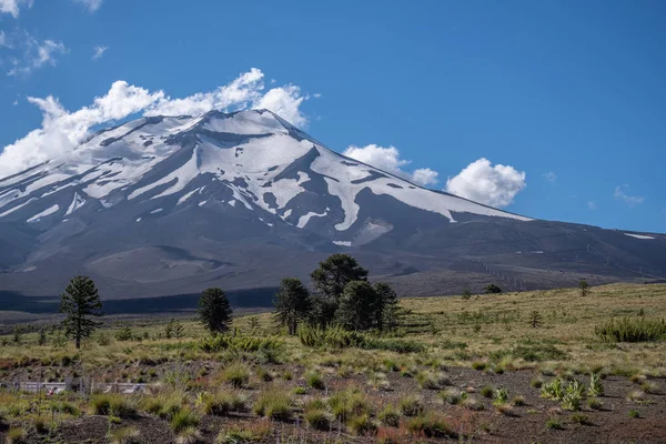 Pintoresca Vista Escena Aire Libre — Foto de Stock