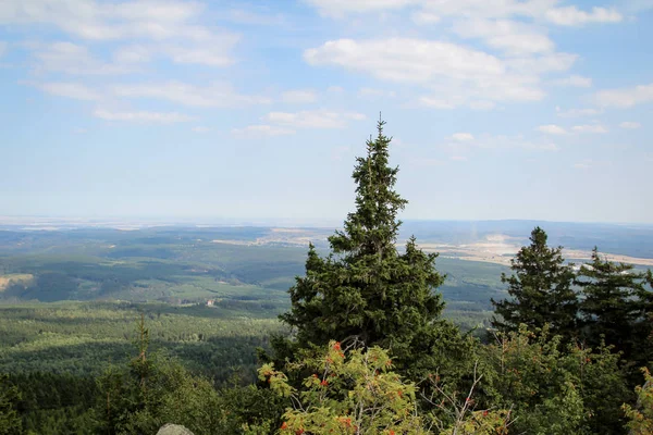 Sziklaképződés Erdők Harz Hegyekben — Stock Fotó