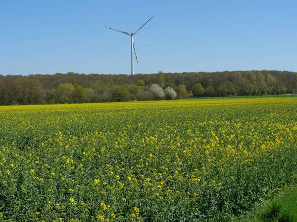 Άνοιξη Στο Γερμανικό Muensterland — Φωτογραφία Αρχείου