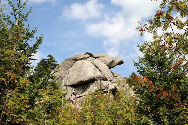 Skalní Útvar Les Pohoří Harz — Stock fotografie