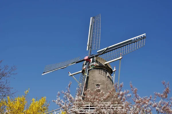 Molino Viento Leonide 2002 Anna Paulowna Holanda Septentrional Países Bajos —  Fotos de Stock