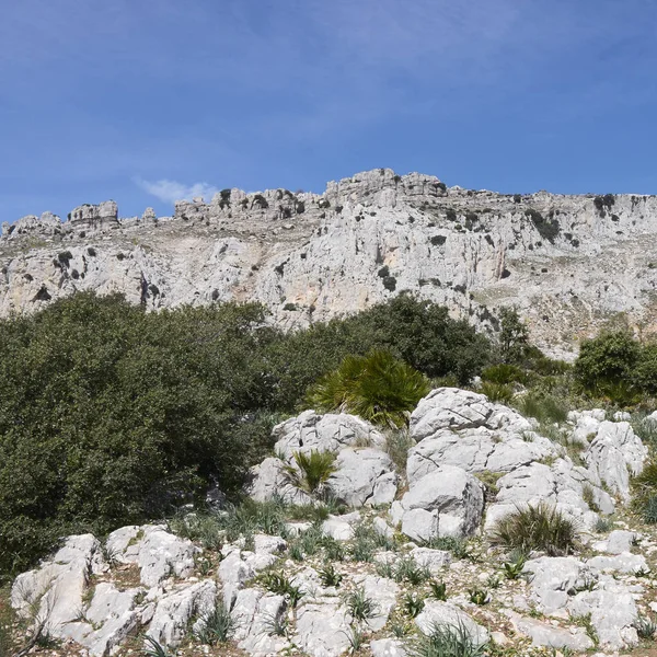 Paisaje Costa Del Sol Andalusia España —  Fotos de Stock