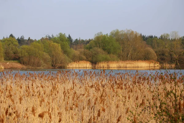 Naturschutzgebiet Ist Ein Schutzgebiet Von Bedeutung Für Flora Und Fauna — Stockfoto