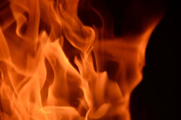 西班牙科斯塔布兰卡壁炉失火 原木失火 — 图库照片