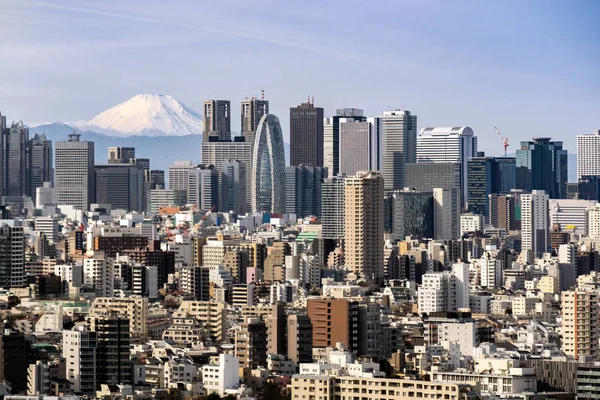 Berget Fuji Med Byggnader Tokyo Horisonter Och Skyskraporna Shinjuku Tokyo — Stockfoto