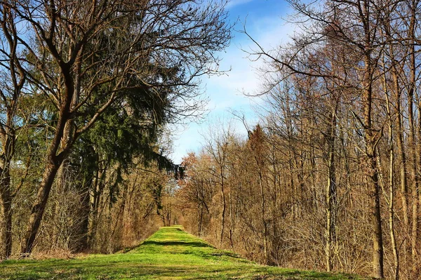 Illertissen Est Une Ville Bavière Allemagne — Photo