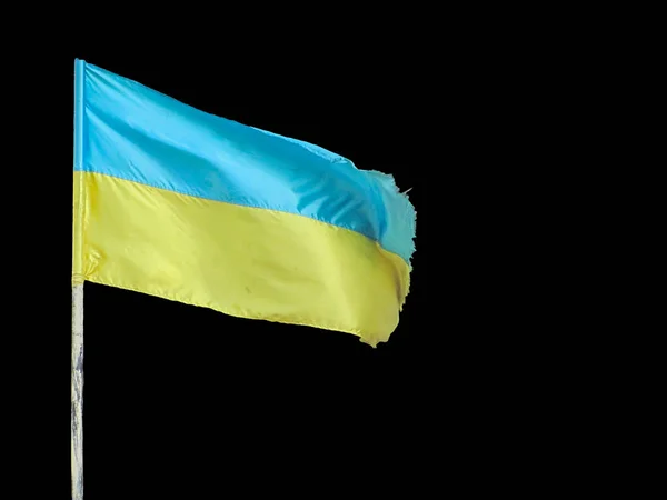 Українець Який Розмахує Вітром Ізольований Чорному — стокове фото