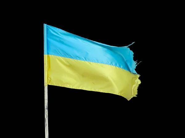Ukrainische Flagge Weht Wind Vereinzelt Auf Schwarz — Stockfoto